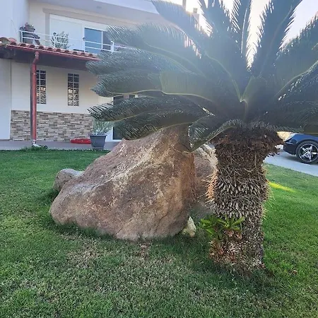 Lux House With Garden *