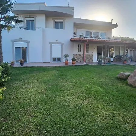 Lux House With Garden